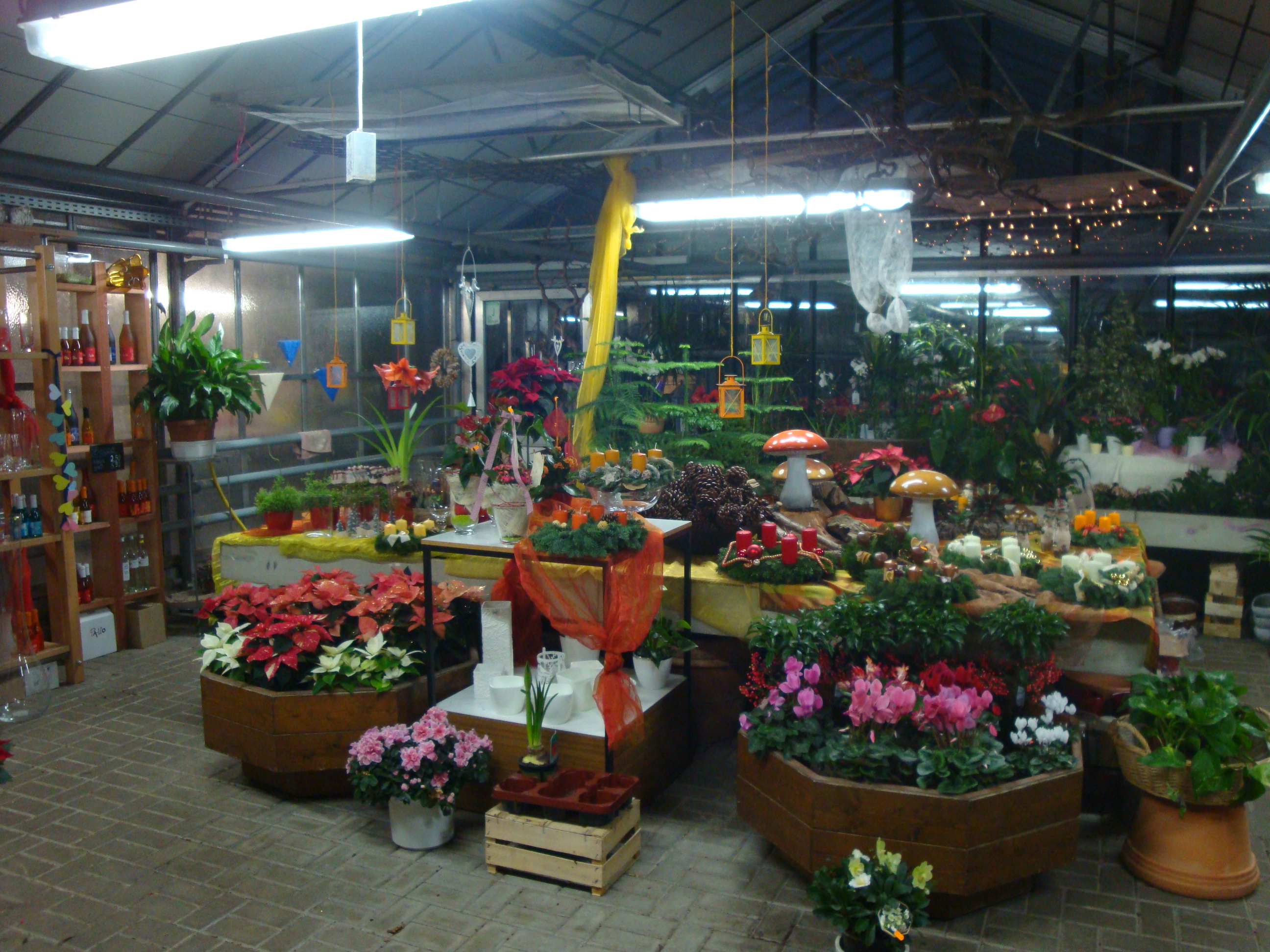 Referenzen Led Performance